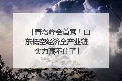 青岛峰会首秀！山东低空经济全产业链实力藏不住了