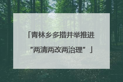 青林乡多措并举推进“两清两改两治理”