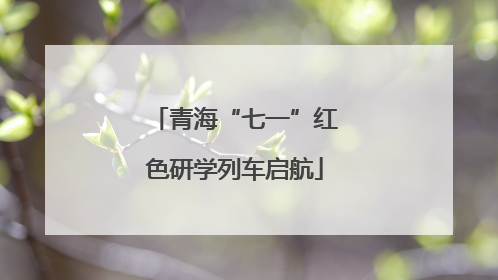 青海“七一”红色研学列车启航