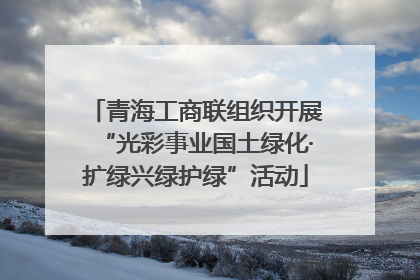 青海工商联组织开展“光彩事业国土绿化·扩绿兴绿护绿”活动