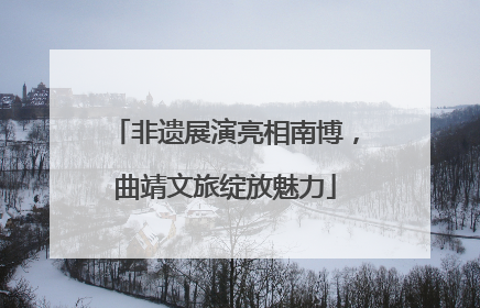 非遗展演亮相南博，曲靖文旅绽放魅力