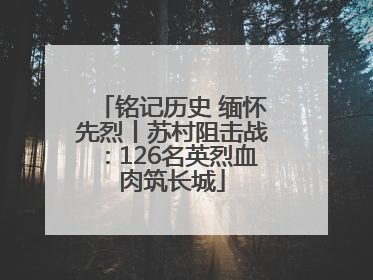 铭记历史 缅怀先烈丨苏村阻击战：126名英烈血肉筑长城