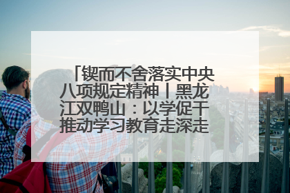 锲而不舍落实中央八项规定精神丨黑龙江双鸭山：以学促干推动学习教育走深走实 从小事入手写好“民生答卷”