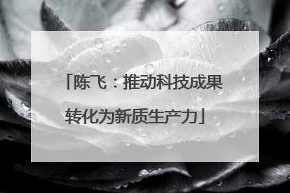 陈飞：推动科技成果转化为新质生产力