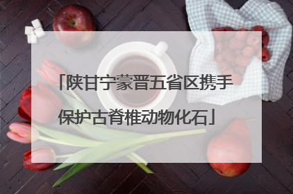 陕甘宁蒙晋五省区携手保护古脊椎动物化石