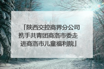 陕西交控商界分公司携手共青团商洛市委走进商洛市儿童福利院