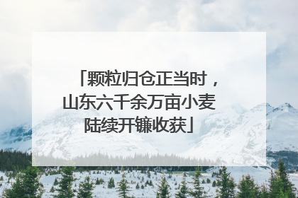 颗粒归仓正当时，山东六千余万亩小麦陆续开镰收获