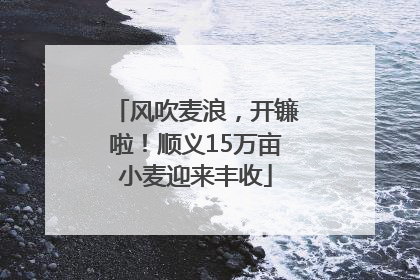 风吹麦浪，开镰啦！顺义15万亩小麦迎来丰收
