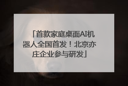 首款家庭桌面AI机器人全国首发！北京亦庄企业参与研发