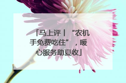 马上评丨“农机手免费吃住”，暖心服务助夏收