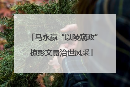 马永嬴“以陵窥政” 掠影文景治世风采