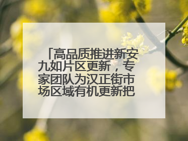 高品质推进新安九如片区更新，专家团队为汉正街市场区域有机更新把脉问诊
