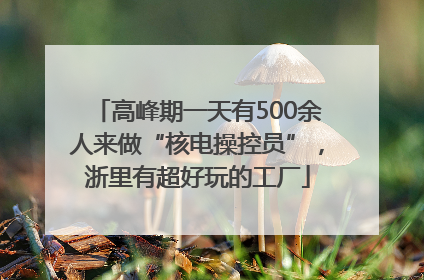 高峰期一天有500余人来做“核电操控员”，浙里有超好玩的工厂