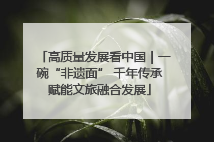 高质量发展看中国｜一碗“非遗面” 千年传承赋能文旅融合发展