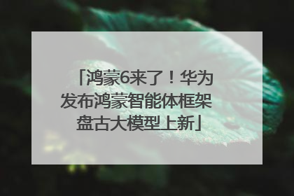 鸿蒙6来了！华为发布鸿蒙智能体框架 盘古大模型上新