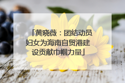 黄晓薇：团结动员妇女为海南自贸港建设贡献巾帼力量