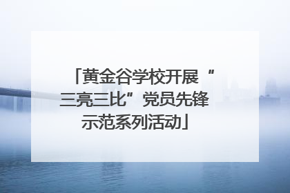 黄金谷学校开展“三亮三比”党员先锋示范系列活动