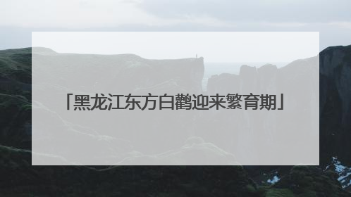 黑龙江东方白鹳迎来繁育期