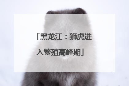 黑龙江：狮虎进入繁殖高峰期
