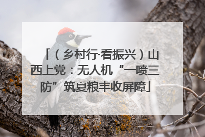 （乡村行·看振兴）山西上党：无人机“一喷三防”筑夏粮丰收屏障