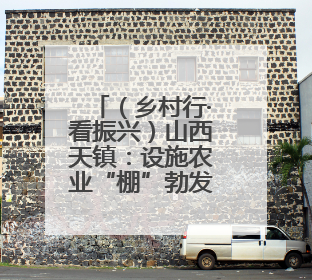 （乡村行·看振兴）山西天镇：设施农业“棚”勃发展 辣椒产业蓄势待发