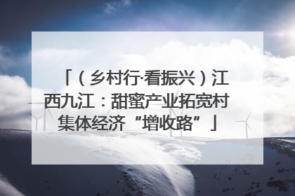 （乡村行·看振兴）江西九江：甜蜜产业拓宽村集体经济“增收路”