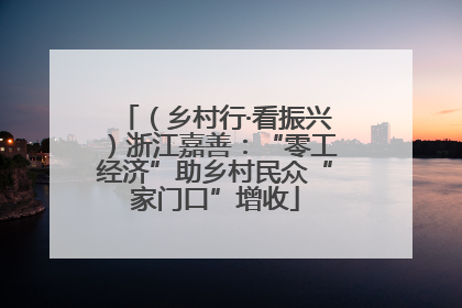 （乡村行·看振兴）浙江嘉善：“零工经济”助乡村民众“家门口”增收