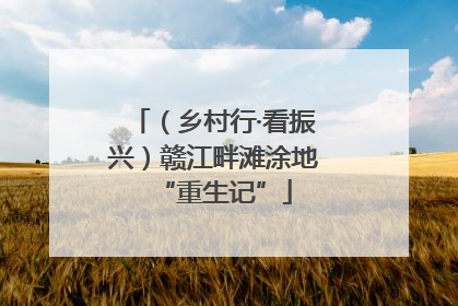 （乡村行·看振兴）赣江畔滩涂地“重生记”