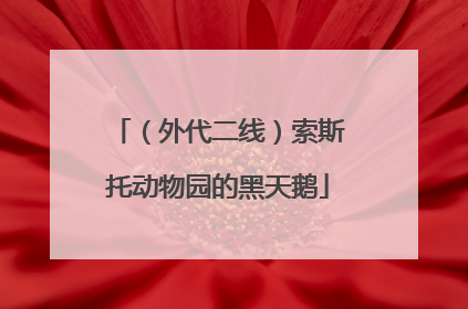 （外代二线）索斯托动物园的黑天鹅