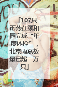107只雨燕在颐和园完成“年度体检”，北京雨燕数量已超一万只