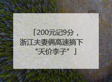 200元记9分，浙江夫妻俩高速摘下“天价李子”