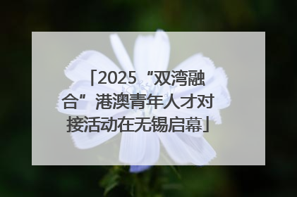 2025“双湾融合”港澳青年人才对接活动在无锡启幕
