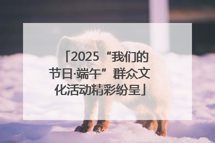 2025“我们的节日·端午”群众文化活动精彩纷呈