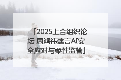 2025上合组织论坛 周鸿祎建言AI安全应对与柔性监管