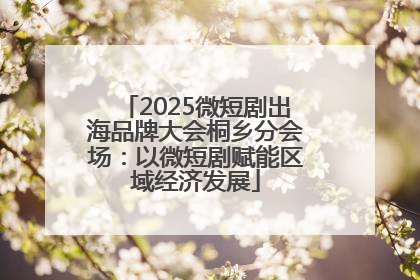 2025微短剧出海品牌大会桐乡分会场：以微短剧赋能区域经济发展