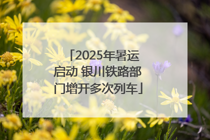 2025年暑运启动 银川铁路部门增开多次列车