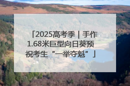 2025高考季｜手作1.68米巨型向日葵预祝考生“一举夺魁”