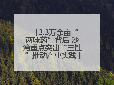 3.3万余亩“两味药”背后 沙湾重点突出“三性”推动产业实践丨新闻发布最前线