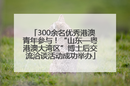 300余名优秀港澳青年参与！“山东—粤港澳大湾区”博士后交流洽谈活动成功举办
