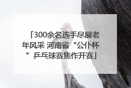300余名选手尽展老年风采 河南省“公仆杯”乒乓球赛焦作开赛