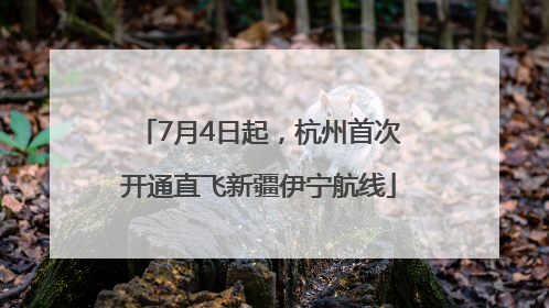 7月4日起，杭州首次开通直飞新疆伊宁航线