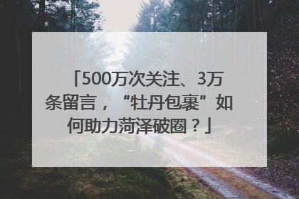 500万次关注、3万条留言，“牡丹包裹”如何助力菏泽破圈？