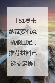 51岁卡纳瓦罗有意执教国足，推荐材料已递交足协
