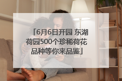 6月6日开园 东湖荷园500个珍稀荷花品种等你来品鉴
