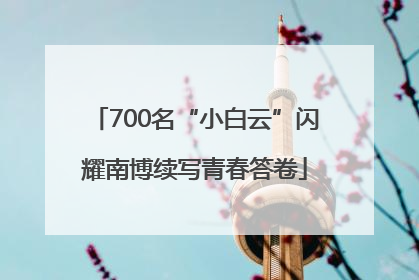 700名“小白云”闪耀南博续写青春答卷