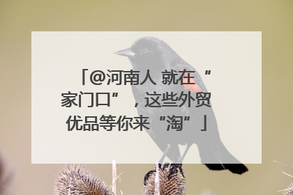 @河南人 就在“家门口”，这些外贸优品等你来“淘”