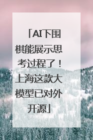 AI下围棋能展示思考过程了！上海这款大模型已对外开源