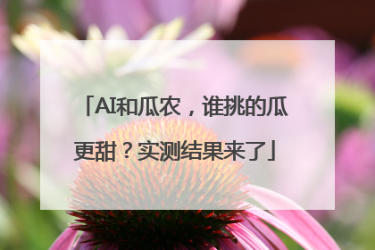 AI和瓜农，谁挑的瓜更甜？实测结果来了